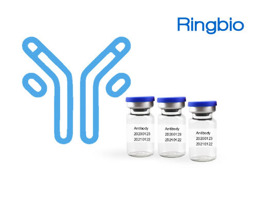 Anti ochratoxin monoclonal antibody