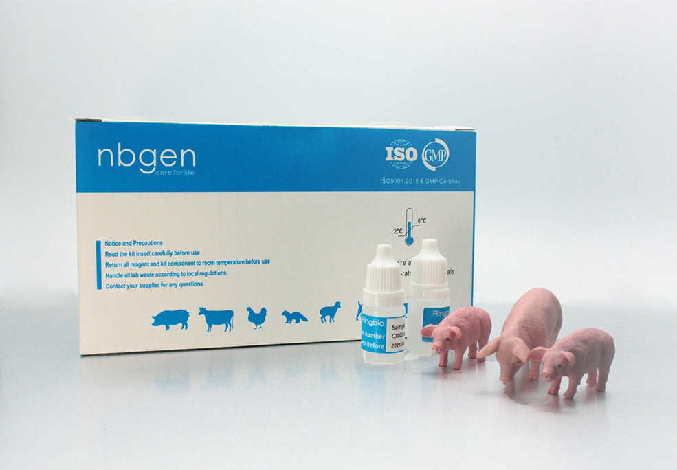 Pig Pregnancy Rapid Test Kit, Swine pregnancy test, Porcine pregnancy test kit