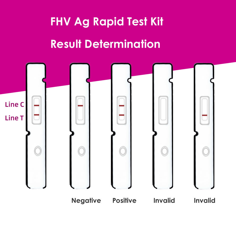 Feline Herpes Virus (FHV) Ag Rapid Test Kit