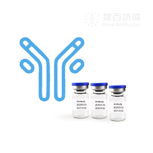 Monoclonal Antibody