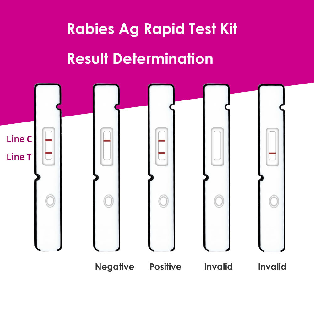 Rabies Antigen Rapid Test Kit, Rabies Ag Rapid Test Card