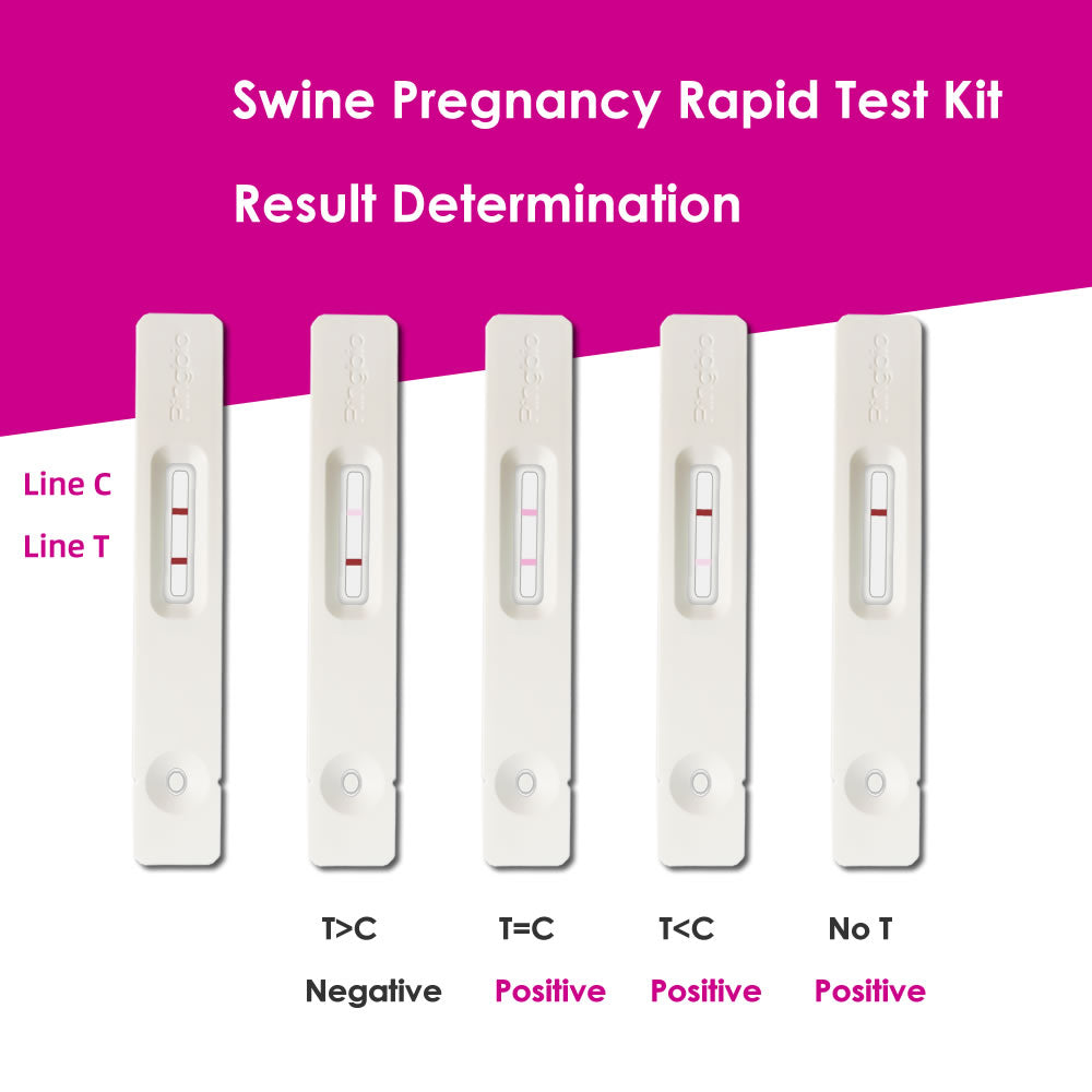 Pig Pregnancy Rapid Test Kit, Swine pregnancy test, Porcine pregnancy test kit