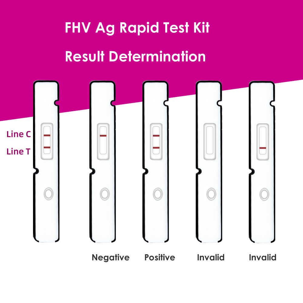 Feline Infectious Peritonitis Virus FIPV Ag Test Kit