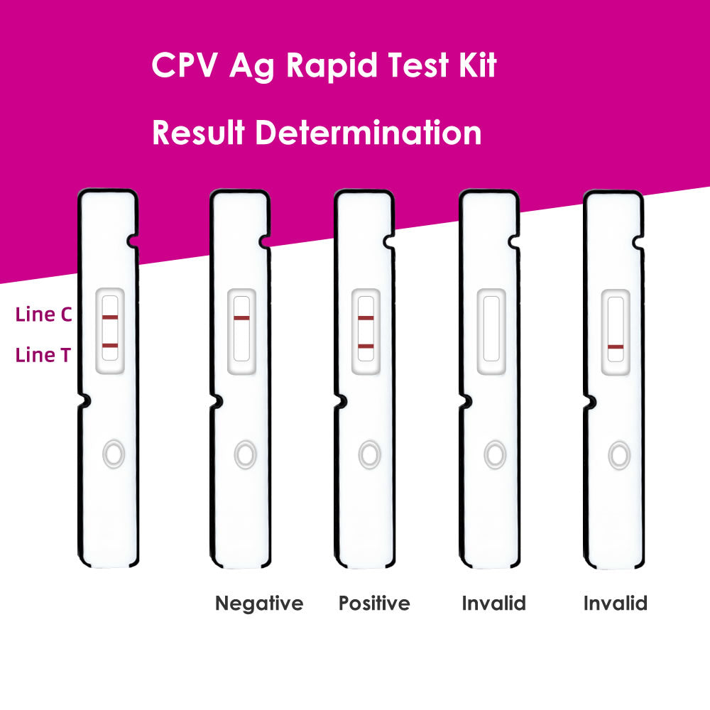 Canine Parvovirus (CPV) Ag Rapid Test Kit