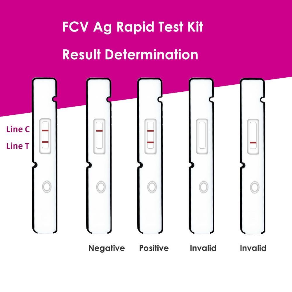 Feline Calicivirus (FCV) Ag Rapid Test Kit